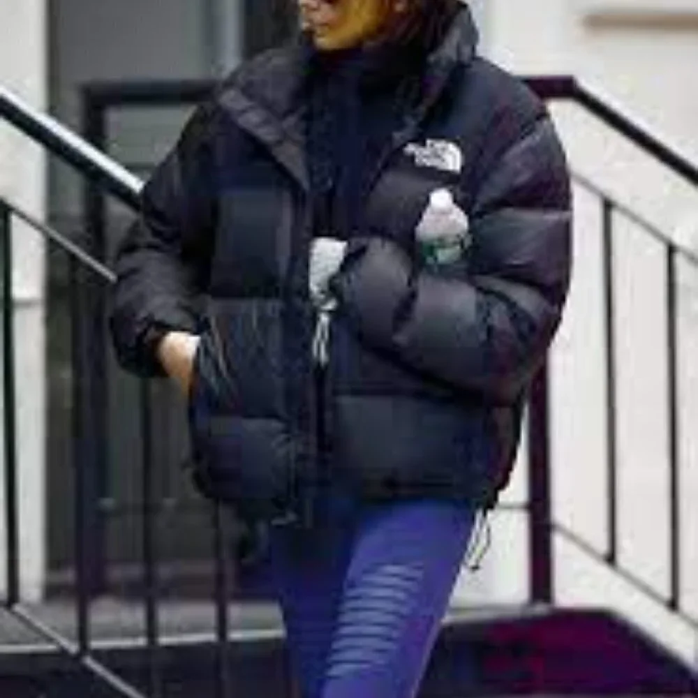 The North Face original north